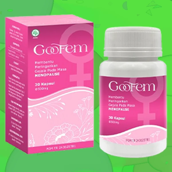 GOOFEM