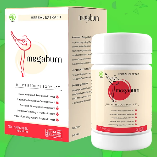 Megaburn